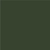 RAL 6020